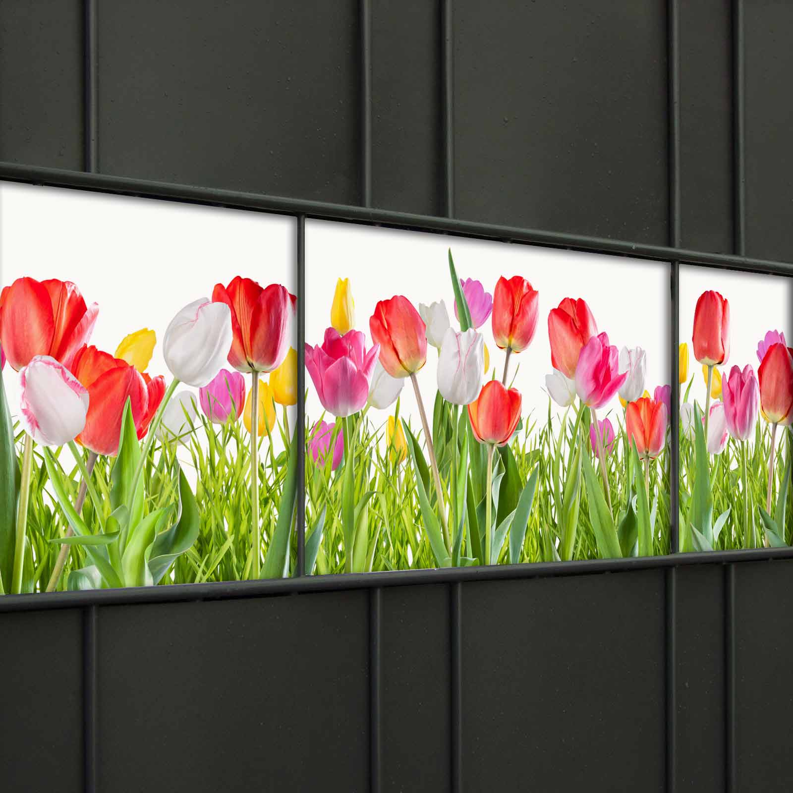 PVC Zaunblendenstreifen - Tulpen