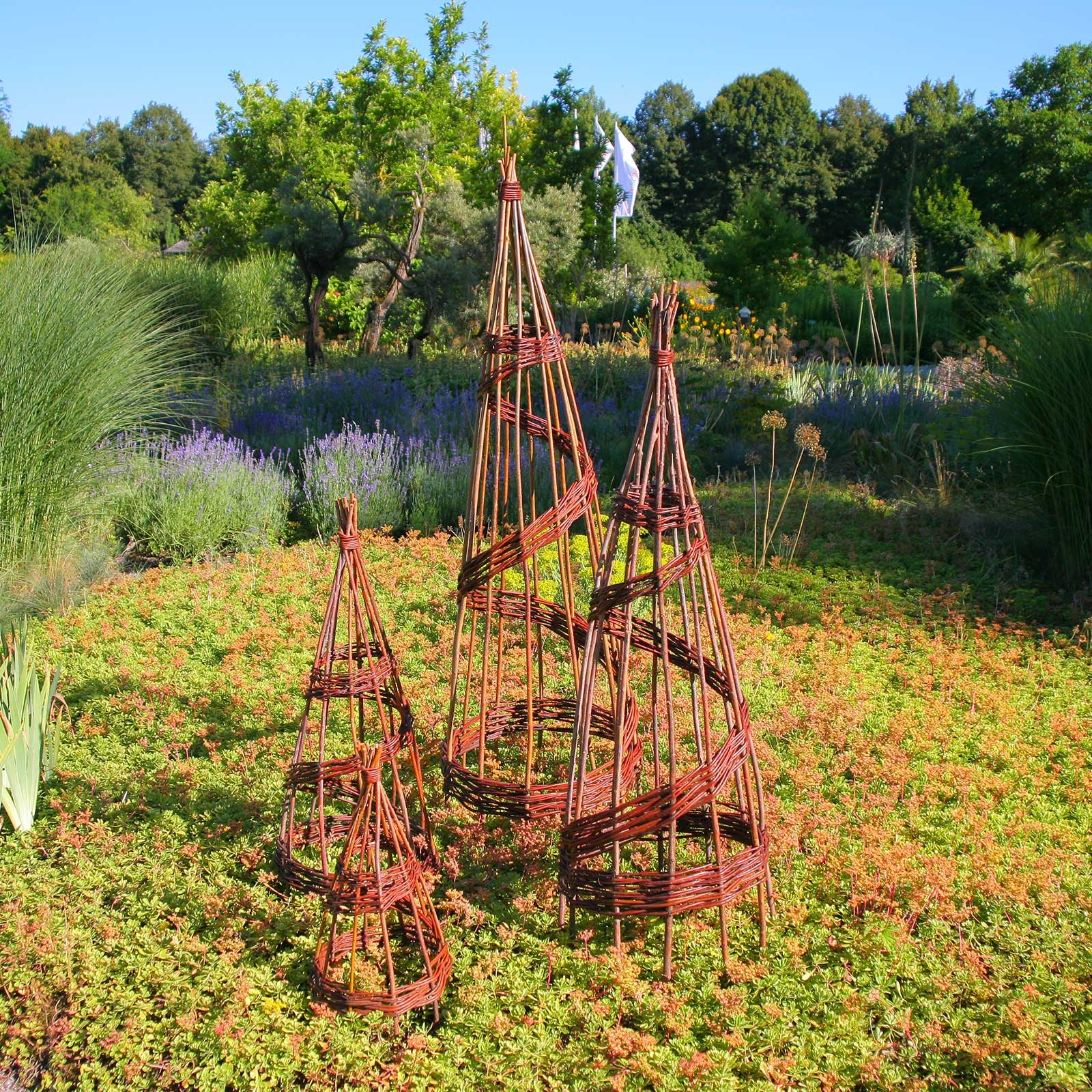 Rankobelisken aus Korbweide Ø 30 x100cm